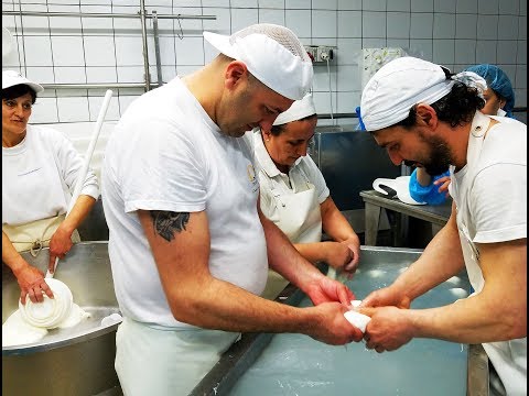 Making Mozzarella di Bufala at Caseificio Prime Querce
