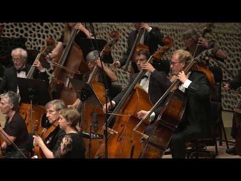 World Doctors Orchestra, Stefan Willich – Wagner: The Ring Without Words (arr. Lorin Maazel)
