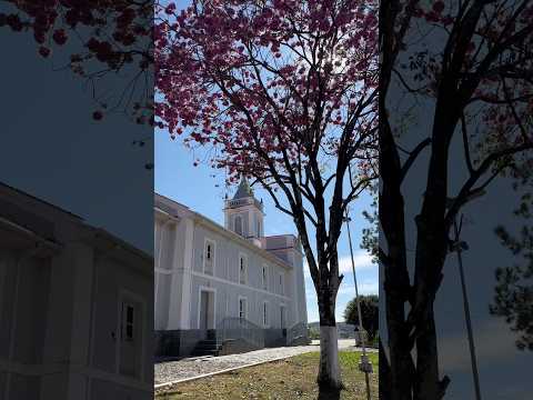 12 MUNICÍPIOS MINEIROS - que eu visitei em 2025 - parte 05 de 12