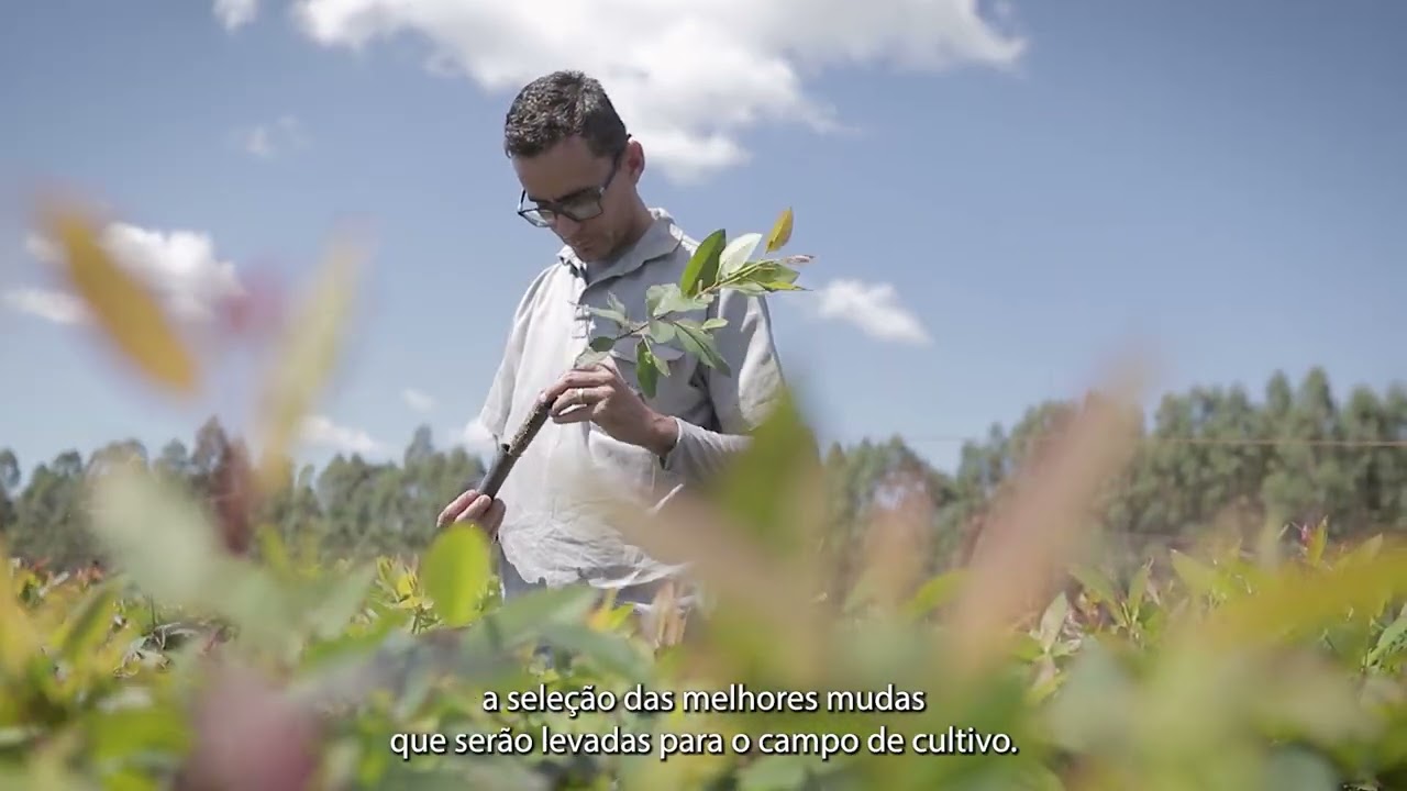 RIMA Industrial | SiMet | [PT-BR]