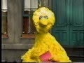 Sesame Street Looking For Somebody Sad