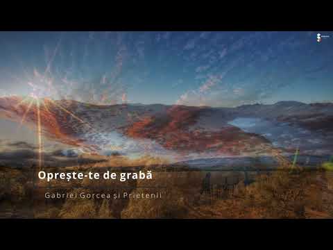 Gabriel Gorcea si Prietenii - Selectii