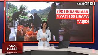 YÜKSEK RANDIMAN FİYATI 280 LİRAYA TAŞIDI: TMO’DA KALİTELİ FINDIK DAHA 