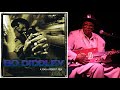 Bo Diddley  -  I Can't Stand It  / 1996