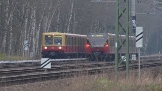 preview picture of video 'Coladose trifft Toaster und andere Züge durch den Wald - Berlin bei Eichwalde am 28.03.2014'