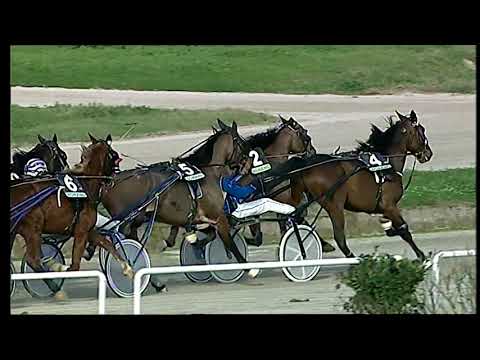 Trotto 12/01/2021 - 1ª corsa