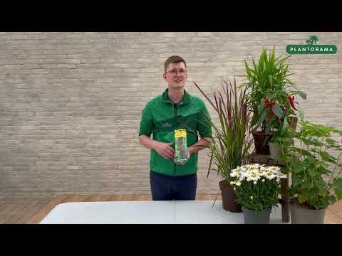 ECOstyle gødningspinde til krydderurter