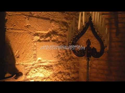 @ionbogdanstefanescu  Dan Voiculescu - Sonata 1
