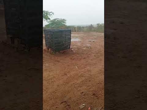 🇧🇷 OLIVEDOS, PARAÍBA, 23/07/2026