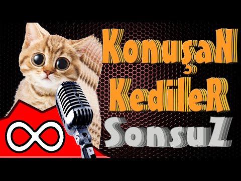 Konuşan Kediler Sonsuz ( ∞ )  - En Komik Kedi Videoları