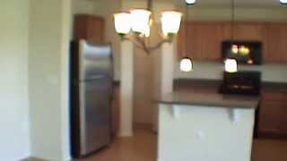 preview picture of video 'Tampa Homes for Rent Apollo Beach Home 3BR/2BA by Tampa FL Property Management'