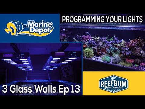 So richten Sie Ihre Riffbeleuchtung ein: 3 Glaswände mit Reefbum Teil 13