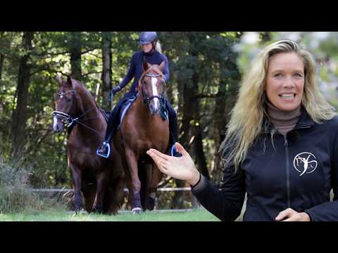 Vom Rückschlag zum Durchbruch - Dressurpferd Nachwuchs wieder geerdet | PRO BONO Wochen 2025