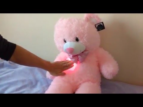 Light up teddy with music