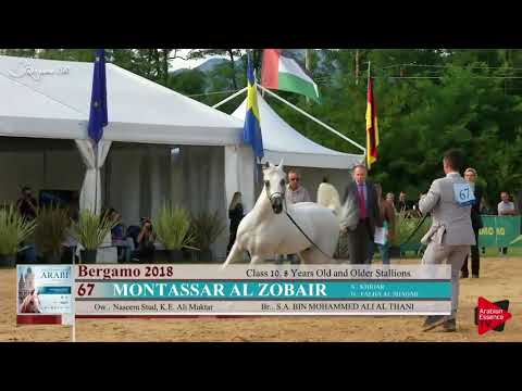 Mountassar al zobair _ Bergamo 2018