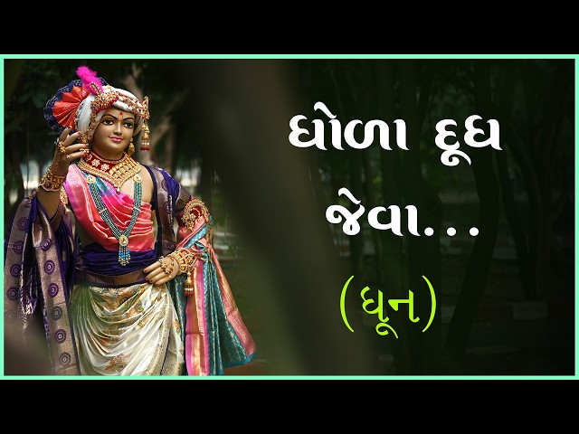 ધોળા દૂધ જેવા....