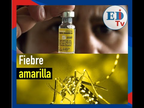 Sedes La Paz alerta por casos de fiebre amarilla en Coroico