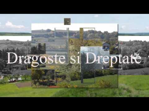 Satul meu natal-Anii copilariei