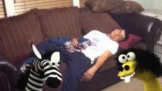 Homestay in the USA (esl-lab.com)