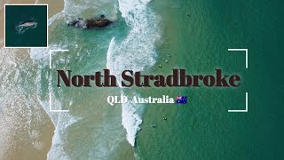 【🇦🇺North Stradbroke Island vlog 1🐬🐋】往復＄13から行ける島