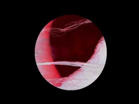 Frequenzfresser - Euphorika