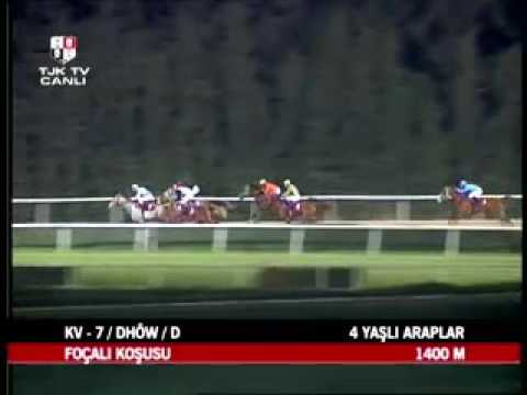 RAZYANA  /FOCALI KOŞUSU (KV-7)  14/03/2014