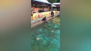 Download lagu Ayo Berenang...Bersama Cece Syaquilla & Cici Syahnaz mp3