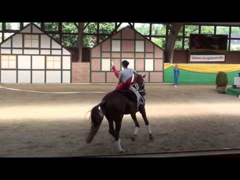 CVI Krumke 2013 - Franziska Wagenhäuser Pflicht