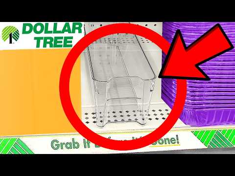 Dollar Tree In