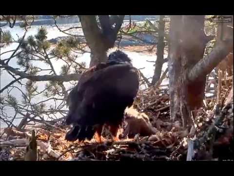 Norway WTE 6-14-16 7:40pm "Waiting For Feed"
