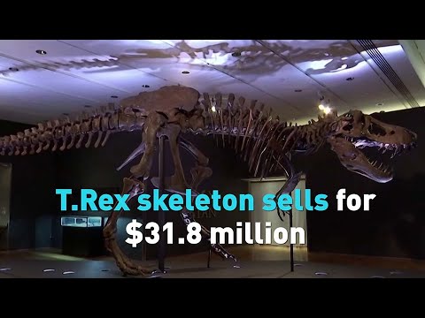 T. Rex skeleton sells for $31.8 million