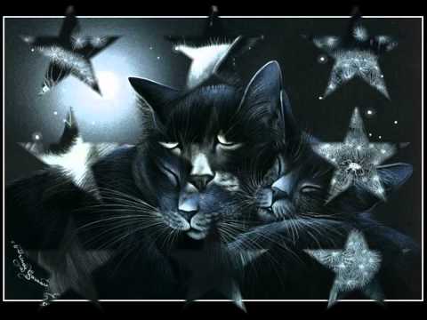 MUSICAL KOTY - MEFISTOFELIKS K0T CZARODZIEJ, OBRAZY IRINA GARMASHOVA (11)