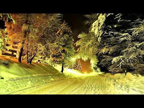 'FORXST' ~ Chillout Ambient Wave Beat Mix by MiXeR