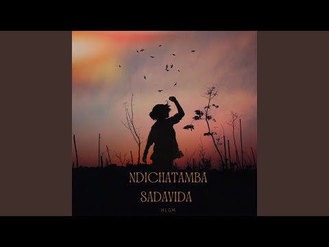 Ndichatamba saDavida