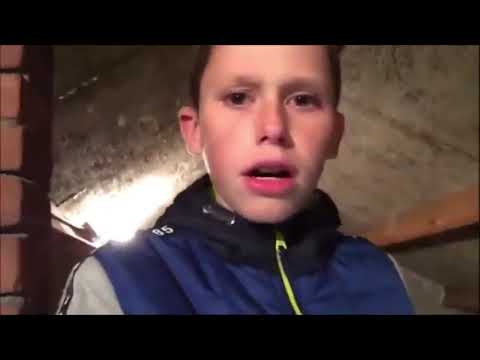 Skibidibop mm dada - Timo valt van de trap