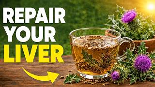 12 Milk Thistle Benefits to Repair Your Liver (Essential If You Take Any Meds)