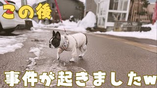 帰省先で愛犬とバトル勃発しました😓