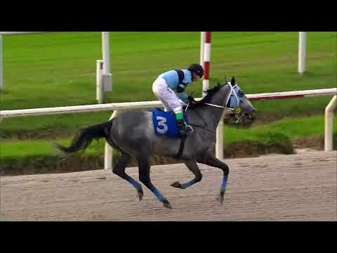 230507 c08 PEPSI ZERO