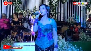Download lagu Rungkad - Citra Margareta - KMB GEDRUG mp3 Download lagu Rungkad - Citra Margareta - KMB GEDRUG mp3