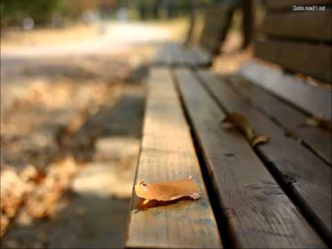 ถามคำเดียว เจ เจตริน