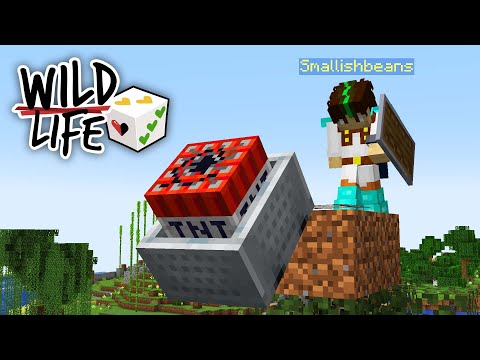 Time to Have Some Fun.. | Wild Life | Ep.7