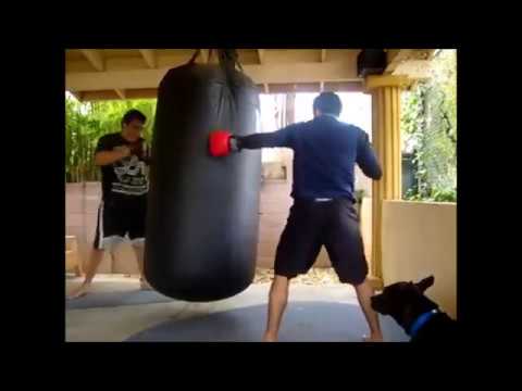 Henry Corrales on 500lb Heavy Bag (2011) & Knocks Out Aaron Pico. + Joe Rogan Reaction.