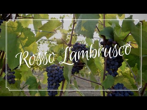 download lagu mp3 mp4 Lini Lambrusco Bianco, download lagu Lini Lambrusco Bianco gratis, unduh video klip Lini Lambrusco Bianco