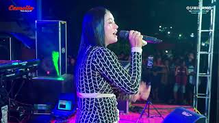 Download lagu CAMELIA MUSIC - IDAMAN HATI - SELLY PRAWOTO - WEDDING AFIF & RESTI KRAPYAK TAHUNAN JEPARA mp3