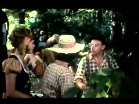 Tko pjeva zlo ne misli (Ne bi ni tebi škodilo)