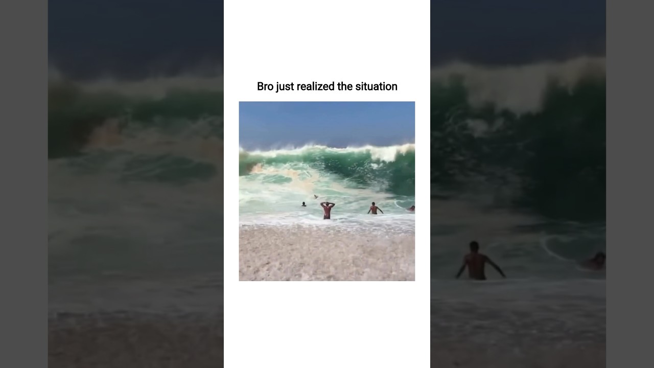 either you run back or run in now #memes #funny #funnyclips #tiktok #reels #shorts