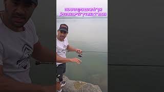 איך לדוג עם ציקדה ? שיטה מספר 2 !!! #דייג #fishing
