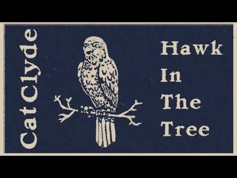 Hawk In The Tree - Cat Clyde