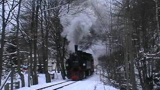 preview picture of video 'Winterdampf im Selketal - Harzer Schmalspurbahnen - Dampflok'