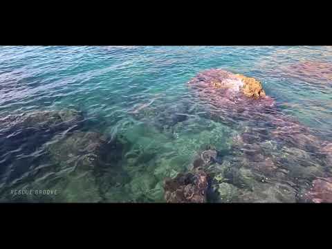 Alone With the Ocean — Progressive House | RSQ GRV ⌬